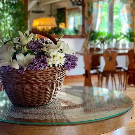Karczma Lesniczanka Bed and Breakfast Wielbark Εξωτερικό φωτογραφία